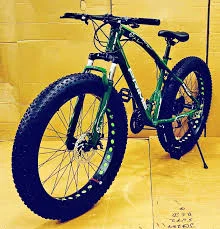 Fat Tyre Cycle